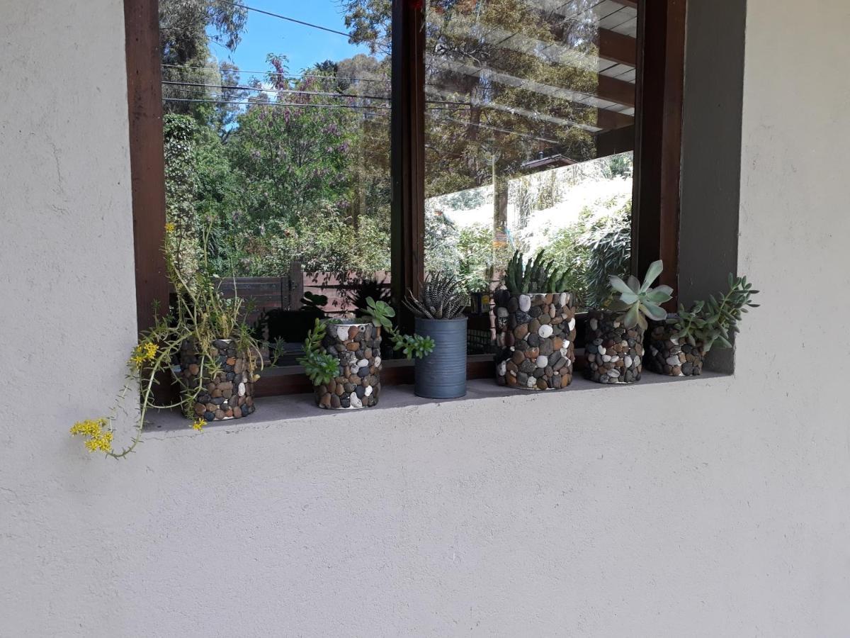 Las Cortaderas Bosque Peralta Ramos Mar del Plata Ngoại thất bức ảnh