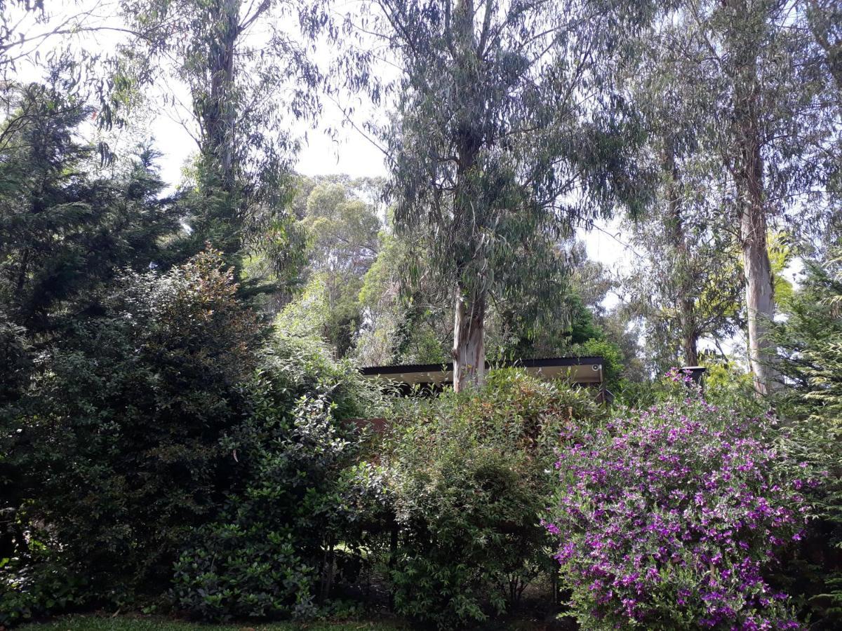 Las Cortaderas Bosque Peralta Ramos Mar del Plata Ngoại thất bức ảnh